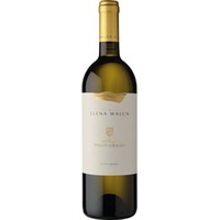 Vigna Castel Ringberg Pinot Grigio, Alto Adige DOC, Südtirol, 2022, Weißwein