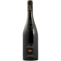 Les Poyeux Saumur Champigny AOP trocken - Domaine La Bonnelière