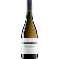 Spätburgunder Blanc de Noir trocken - Weingut Matthias Dostert
