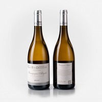 Bourgogne Aligoté Vieilles Vignes