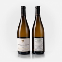 Bourgogne Aligoté