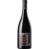 Squarcione Appassimento Rosso Puglia IGP