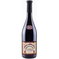 Clos de l'Echo Chinon AOP trocken - Domaine Couly-Dutheil