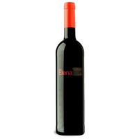 Parés Baltà Mas Elena