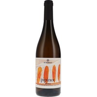 Pinot Grigio Pipinot DOC