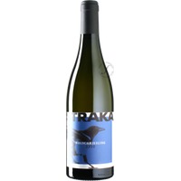 Welschriesling 3330 Prantner