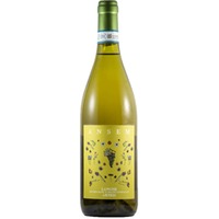 Ansem Arneis Langhe DOC trocken - Vada Guido