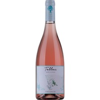 Famiglia Cotarella Tellus Rosé Di Syrah - 6Fl. á 0,75l