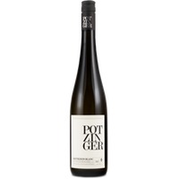 Sauvignon Blanc Tradition