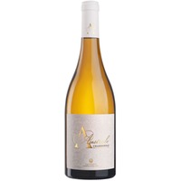 Australe Salento IGP trocken - Cantine San Pancrazio