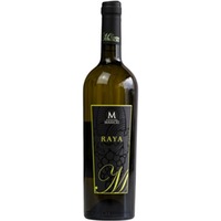 Raya Calabria IGP trocken - Cantina Masicei