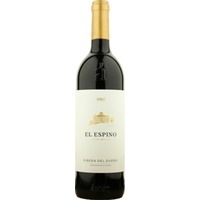 Aster El Espino