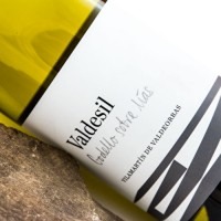 Valdesil Godello Sobre Lías