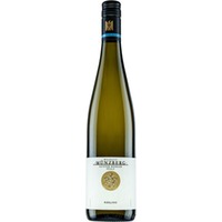 Riesling VDP.GUTSWEIN-BIO trocken - Weingut Münzberg