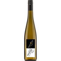 Riesling "vom Rotschiefer" feinherb - Weingut Benedikt Nilles