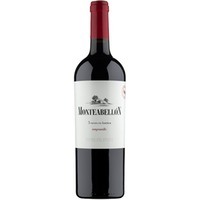 Monteabellón 5 Meses Magnum Ribera del Duero DO trocken 1,5 L - Bodegas y Viñedos Monteabellón