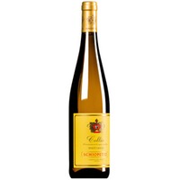 Pinot Grigio Collio DOC