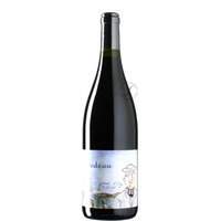 Pinot Noir Bourgogne Bedeau