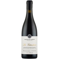 La Gandara Castilla y León VT trocken - Fuentes del Silencio