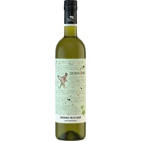Grüner Veltliner Falkenstein, Trocken, Weinviertel DAC, Niederösterreich, 2023, Weißwein