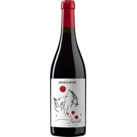 Imperfetto Rubicone IGP trocken Bio - Amaracmand Organic Winery