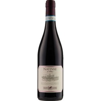 NATIVAE Montepulciano d'Abruzzo, Montepulciano d'Abruzzo DOC, Abruzzen, 2019, Rotwein