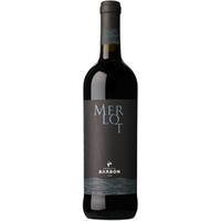 Merlot Trevenezie IGP trocken - Tenuta Barbon
