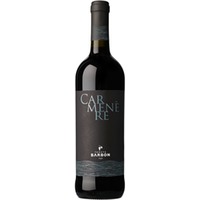 Carmenère Marca Trevigiana IGP trocken - Tenuta Barbon
