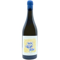 Monte Cimo Spontaneo PIWI Veneto Bianco IGTVenetien