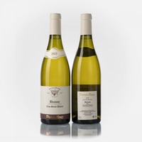 Beaune Clos Saint Désiré rouge