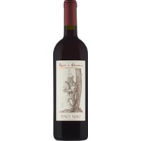 Pinot Nero Vigneti delle Dolomiti IGT
