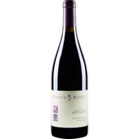 Dolcetto d´Alba sito Varei von Dante Rivetti - Rotwein