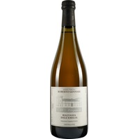 Malvasia Emilia IGP trocken - Il Verginese