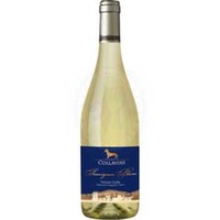 Sauvignon Blanc IGT Collavini
