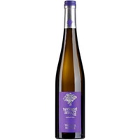 Ungsteiner Weilberg Riesling trocken - Weingut am Nil