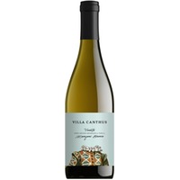 Manzoni Bianco Veneto IGP trocken - Villa Canthus