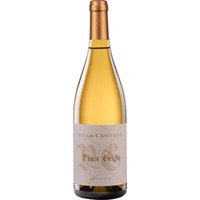 Pinot Grigio Delle Venezie DOC trocken - Villa Canthus