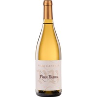 Pinot Bianco Venezia Giulia IGP trocken - Villa Canthus