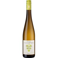 Ökonomierat Riesling Trocken, Pfalz