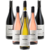 Bodegas Ostatu Probierpaket 6er Angebot