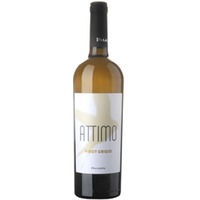 attimo Pinot Grigio - Paladin