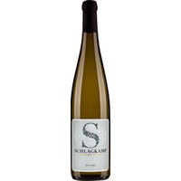 Riesling QW feinherb - Weingut Schlagkamp-Desoye