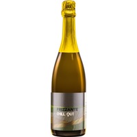 Frizzante "chill out" trocken - Weingut Alois Zimmermann