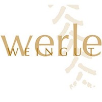 Silvaner Eiswein edelsüß 0,375 L - Weingut Werle