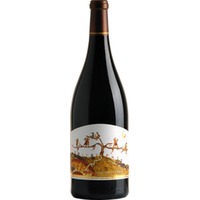 Nostre Pais Rouge Bio, Costières de Nîmes AOP, Magnum, Rhône, 2020, Rotwein