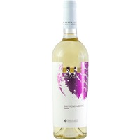 Linea Essenza Sauvignon Lazio IGP trocken - Parvus Ager