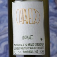 Catavela