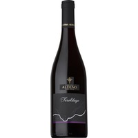 Teroldego Vigneti delle Dolomiti IGP trocken - Cantina Aldeno