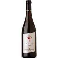 Pinot Nero Trentino DOC trocken - Cantina Aldeno