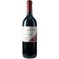 Regent trocken - Weingut Bruno Schreieck